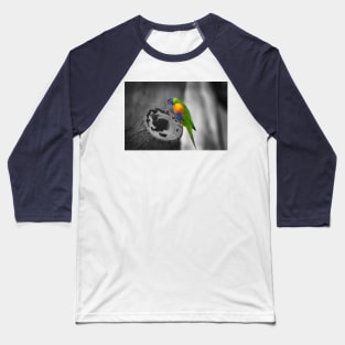 Rainbow Lorikeet_5174A Baseball T-Shirt